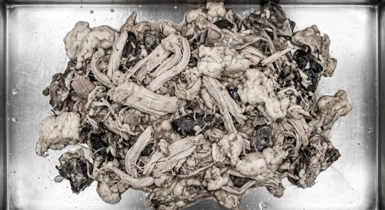 Organic industrial waste streams from UK food manufacturing and rendering operations — the protein-rich, lipid-heavy slurries that are fully compatible with on-site subcritical water hydrolysis treatment at PHANTOM operating parameters