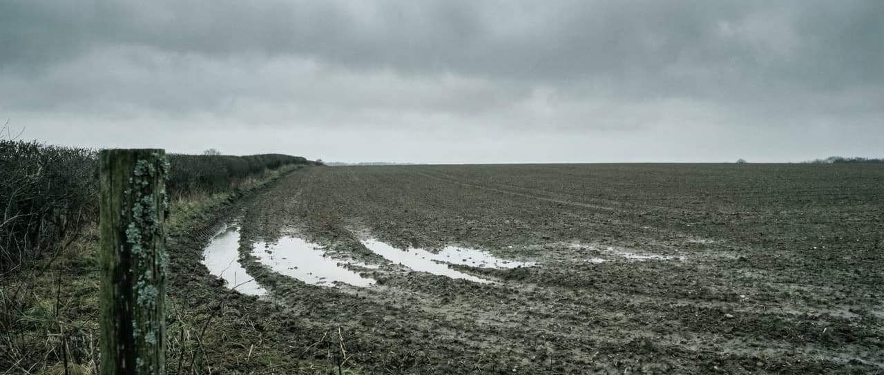 UK farmland in NVZ winter closed period — no-spread zone compliance challenge for livestock operations