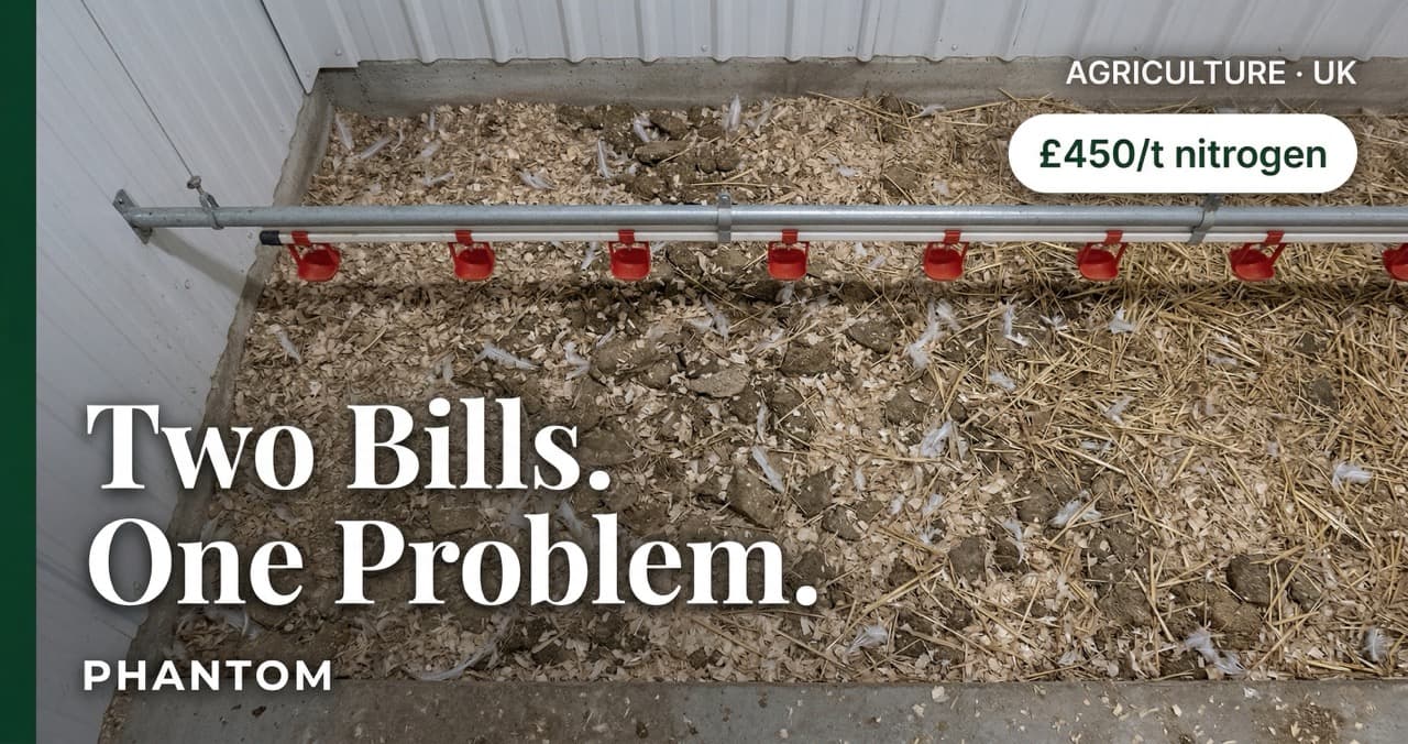 Overhead flat-lay of a commercial broiler shed floor — raw poultry litter showing wood shavings, compressed manure fragments, and ammonia-discoloured straw bedding representing the disposal cost burden UK NVZ farms carry per tonne