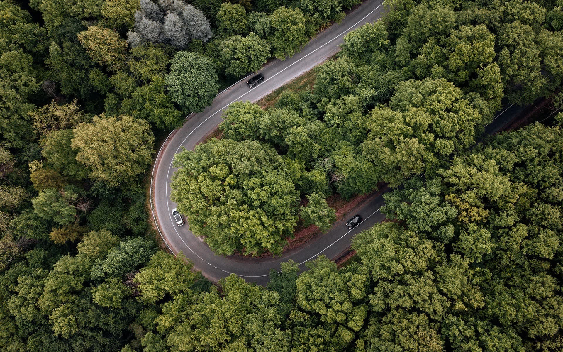 Aerial view of lush green forest — harmonising technology with nature